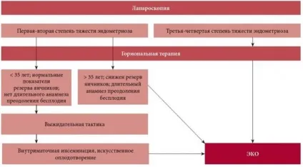 Чи можна завагітніти при ендометріозі (питання можна завагітніти) Чи можна завагітніти при ендометріозі