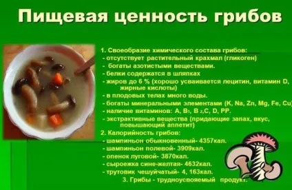 Чи можна гриби при грудному вигодовуванні, в тому числі печериці при лактації (числі) Чи можна гриби при грудному вигодовуванні, в тому числі печериці при лактації