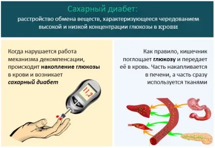 Чи можна пити пиво при цукровому діабеті відповідь лікаря (пити) Чи можна пити пиво при цукровому діабеті відповідь лікаря