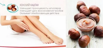 Настоянка з каштанів від варикозу рецепт, який кожен може приготувати (кожен) Настоянка з каштанів від варикозу рецепт, який кожен може приготувати