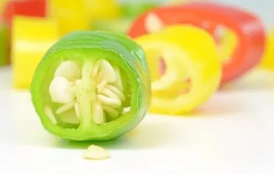 Норми харчування людини