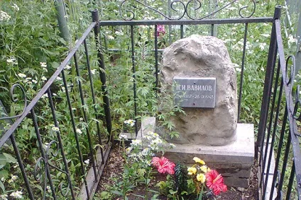 Микола Вавилов - біографія, фото, особисте життя, внесок в науку (новини спорту) Микола Вавилов - біографія, фото, особисте життя, внесок в науку