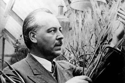 Микола Вавилов - біографія, фото, особисте життя, внесок в науку (біографія) Микола Вавилов - біографія, фото, особисте життя, внесок в науку