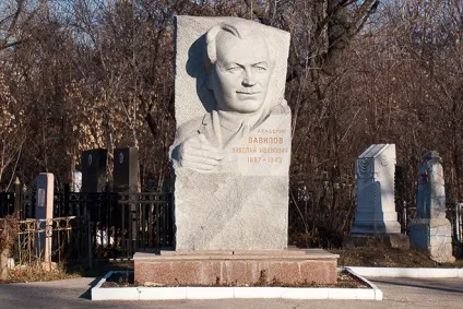 Микола Вавилов - біографія, фото, особисте життя, внесок в науку (фото) Микола Вавилов - біографія, фото, особисте життя, внесок в науку