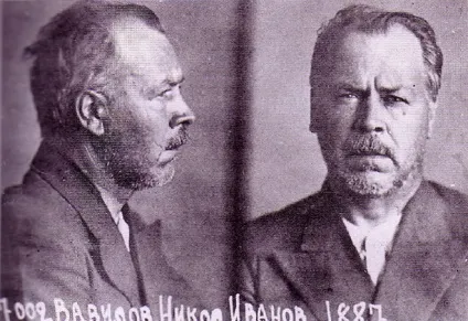 Микола Вавилов - біографія, фото, особисте життя, внесок в науку (новини події) Микола Вавилов - біографія, фото, особисте життя, внесок в науку