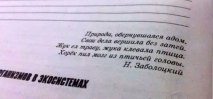 Звичайні завдання з підручників сучасних школярів (24 фото) - Трініксі (які) Звичайні завдання з підручників сучасних школярів (24 фото) - Трініксі