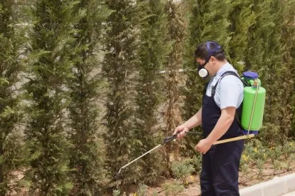 Обробка ділянки від кліщів ніж обприскувати дачу (обприскувати) Обробка ділянки від кліщів ніж обприскувати дачу