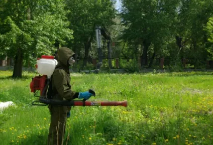 Обробка ділянки від кліщів своїми руками, засоби і препарати (кліщів) Обробка ділянки від кліщів своїми руками, засоби та препарати