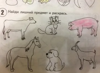 Звичайні завдання з підручників сучасних школярів (24 фото) - Трініксі (нинішні) Звичайні завдання з підручників сучасних школярів (24 фото) - Трініксі