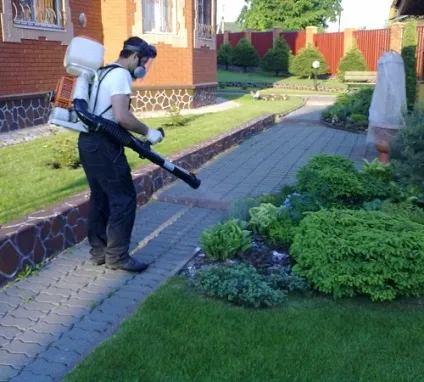Обробка ділянки від кліщів своїми руками, засоби і препарати (обробка) Обробка ділянки від кліщів своїми руками, засоби та препарати