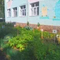 Городи на підвіконні і на ділянці (підвіконні) Городи на підвіконні і на ділянці
