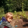 Городи на підвіконні і на ділянці (підвіконні) Городи на підвіконні і на ділянці