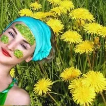 Кульбаба для обличчя маски, лосьйони, відвари, правила здоров'я і довголіття