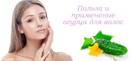 Огірок для волосся користь, маски та відгуки про застосування (відгуки) Огірок для волосся користь, маски та відгуки про застосування