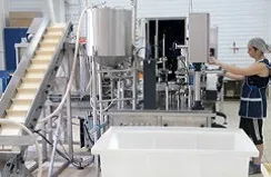 Оптовий продаж солінь в Ростові за доступною ціною (виробництво солінь) Оптовий продаж солінь в Ростові за доступною ціною