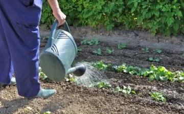 Основні прийоми агротехнічного методу захисту рослин від шкідників (прийоми) Основні прийоми агротехнічного методу захисту рослин від шкідників