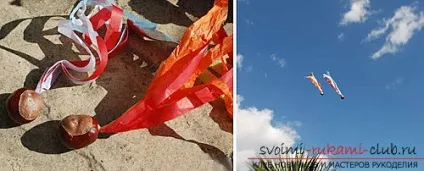 Осінні вироби з каштанів (вироби) Осінні вироби з каштанів