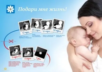 Головна сторінка