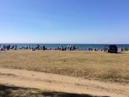 Вони були як зомбі »