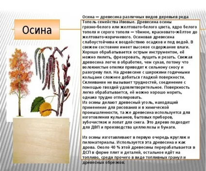 Осика фізико-хімічні характеристики, властивості і якості деревини (фізико-хімічні) Осика фізико-хімічні характеристики, властивості і якості деревини