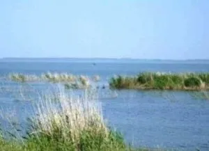 Відпочинок на Луганських озерах (челябінських) Відпочинок на Луганських озерах