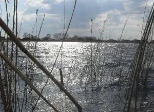 Відпочинок на Луганських озерах (озерах) Відпочинок на Луганських озерах