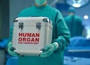 Передача інфекцій при оральному сексі і поцілунках, медицина в Одессае (секс) Передача інфекцій при оральному сексі і поцілунках, медицина в Одессае