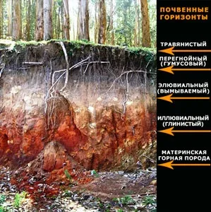 Про воду і землі (ґрунтова волога) (ґрунтова) Про воду і землі (ґрунтова волога)