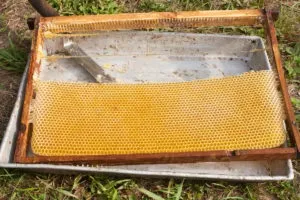 Бджолині рамки для вуликів розміри, креслення, як зробити своїми руками