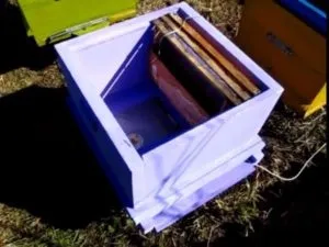 Бджоли навесні догляд для збільшення ефективності медозбору (першого очисного обльоту) Бджоли навесні догляд для збільшення ефективності медозбору
