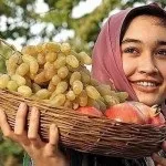 Купив апельсини а вони гнилі