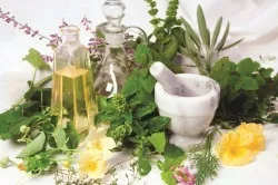 Лікування бронхіту Борсучим жиром (про легкі) Лікування бронхіту Борсучим жиром