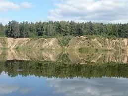 Курс цариця симетрія