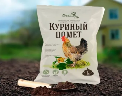 Курячий послід для малини правила добрива (навесні, влітку, восени) відео - eтепліца (курячий) Курячий послід для малини правила добрива (навесні, влітку, восени) відео - eтепліца