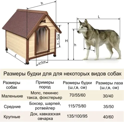 Купити будку для спанієля