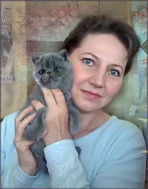 Розплідник персів і екзотів affection - сайт affection-rarity! (Affection) Розплідник персів і екзотів affection - сайт affection-rarity!