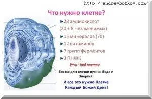 Харчування клітини і процеси життєдіяльності клітини організму людини (харчування) Харчування клітини і процеси життєдіяльності клітини організму людини