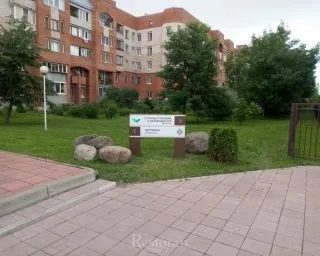 Петербург на тарілці