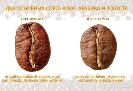 Чому кава кислить, статті про каву чому кава (кислуватого присмаку кави) Чому кава кислить, статті про каву чому кава