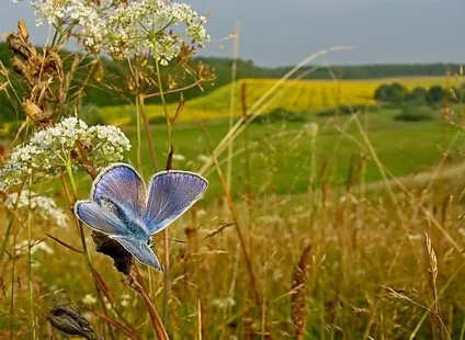 Чому господь забирає кращих ну чому бог забирає найкращих, для них адже на землі (забирає) Чому господь забирає кращих ну чому бог забирає найкращих, для них адже на землі