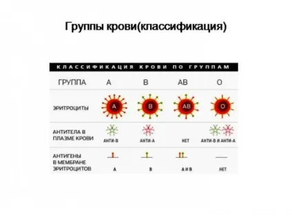 Чому у дітей група крові відрізняється від батьківської (група) Чому у дітей група крові відрізняється від батьківської