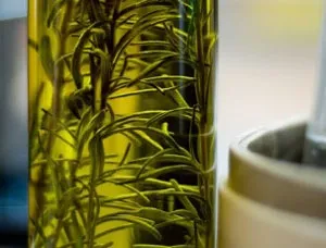Корисні властивості розмаринового масла для волосся, рецепти домашніх масок і протипоказання розмарину (маска для волосся з маслом розмарину) Корисні властивості розмаринового масла для волосся, рецепти домашніх масок і протипоказання розмарину