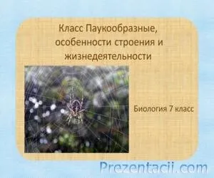 Поетична зошит (4 клас)