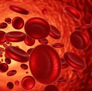 Підготовка до операції з видалення геморою обстеження, дієта (список продуктів), важливі правила