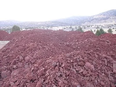 Корисні копалини марганцеві руди