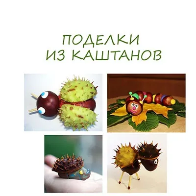 Вироби з каштанів своїми руками (руками) Вироби з каштанів своїми руками