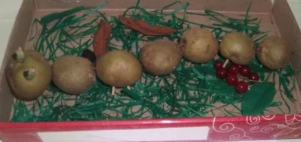 Вироби з овочів своїми руками для дитячого садка, школи і на виставку фото та відео
