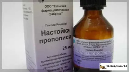 Детальна інструкція настоянки прополісу (настоянка прополісу інструкція) Детальна інструкція настоянки прополісу
