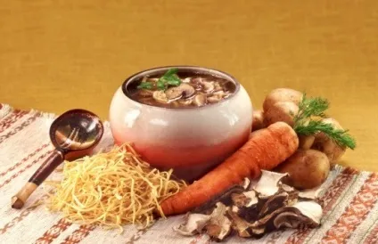 Корисні речовини в грибах (грибах) Корисні речовини в грибах