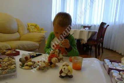 Вироби з черепашок своїми руками